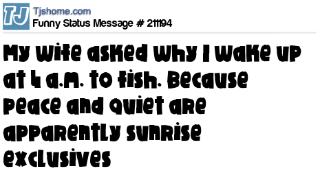 status message box