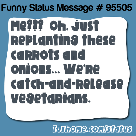 status message box
