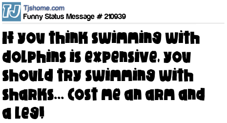 status message box